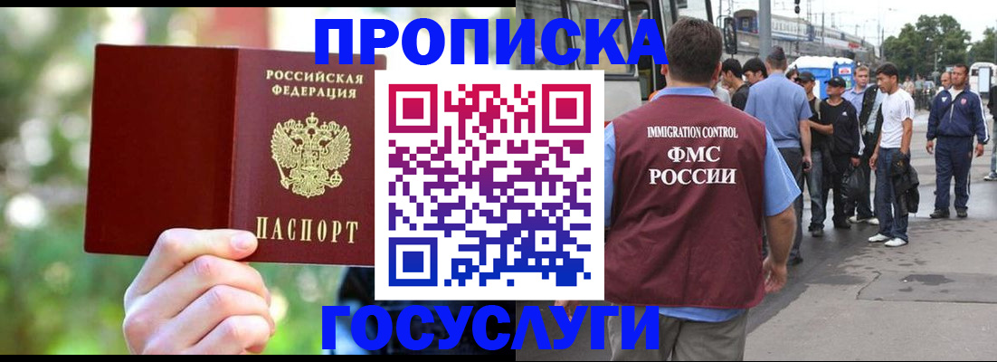 прописка поиск в Котово